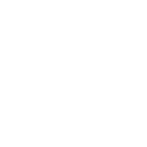 BlackHat