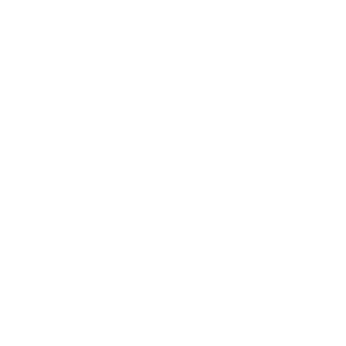 Human X